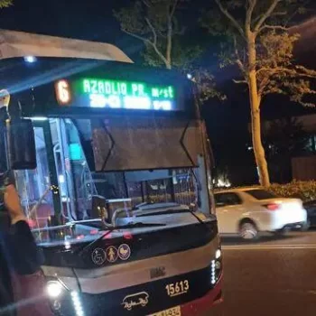 Ağac "Baku Bus"un üzərinə aşdı FOTO