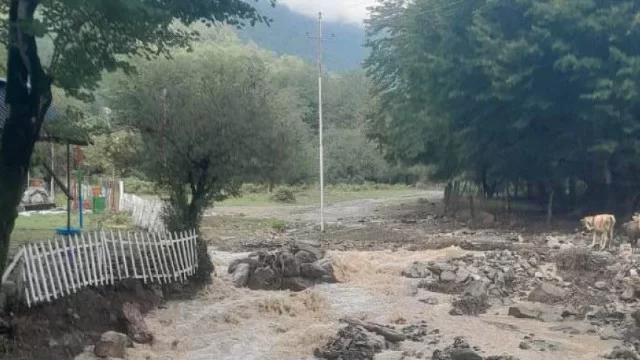 Oğuzda güclü külək və leysan yağışı fəsadlar törətdi