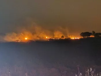 Diyarbəkirlə Mardin arasında küləş yanğını: 3 ölü