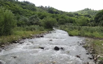 Tovuzda çayda tapılan meyitin kimliyi müəyyən edildi