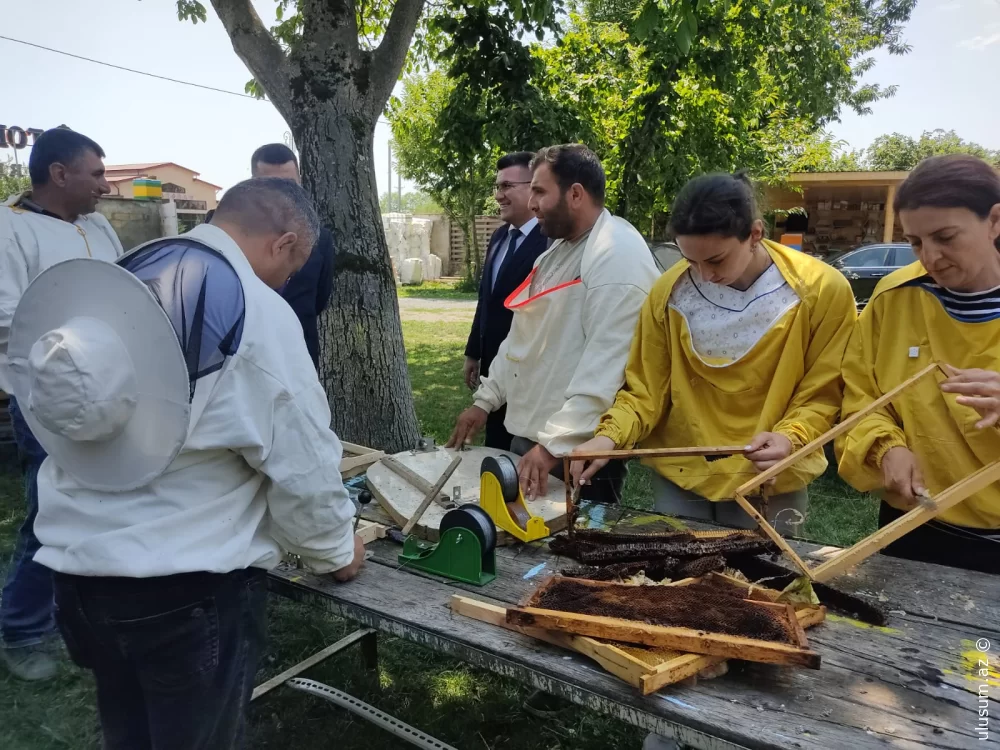 Qəbələ Dövlət Peşə Təhsil Mərkəzində məcburi köçkünlər üçün qısamüddətli təlimlər davam edir - FOTOLAR