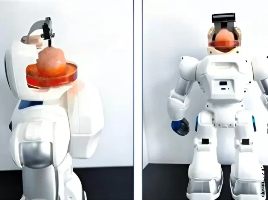 Kritik vəzifələri yerinə yetirə bilən robot hazırlandı