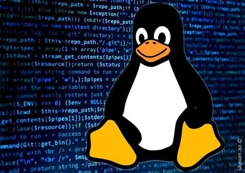 Linux-un yaradıcısı Rusiya ilə əlaqəsi olan 11 proqramçının fəaliyyətini dayandırıb