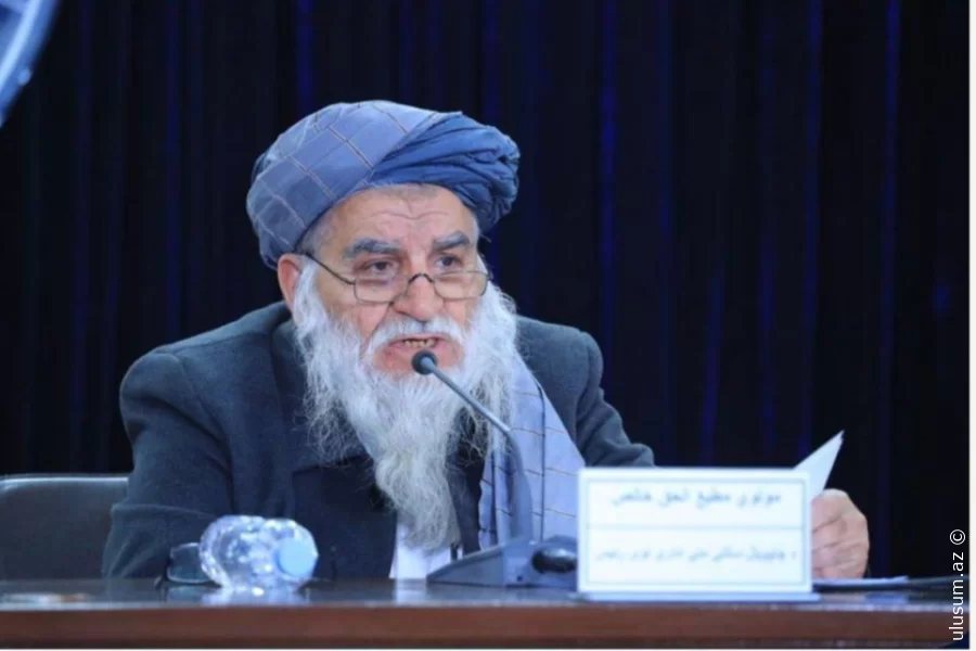 Taliban: “COP29-da Əfqanıstanın aydın mənzərəsi təqdim edilib”