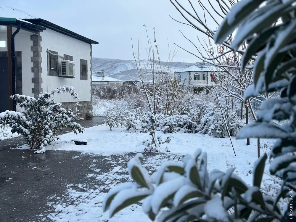 Ağalı payızın son günlərində ağ örpəyi ilə göz oxşayır: fotoreportaj