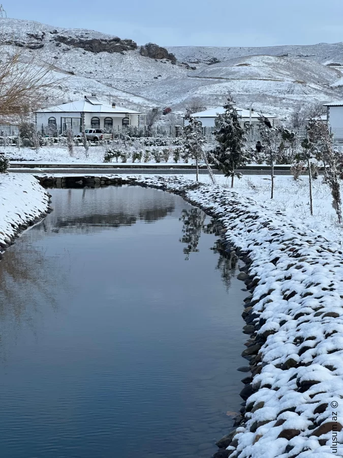 Ağalı payızın son günlərində ağ örpəyi ilə göz oxşayır: fotoreportaj