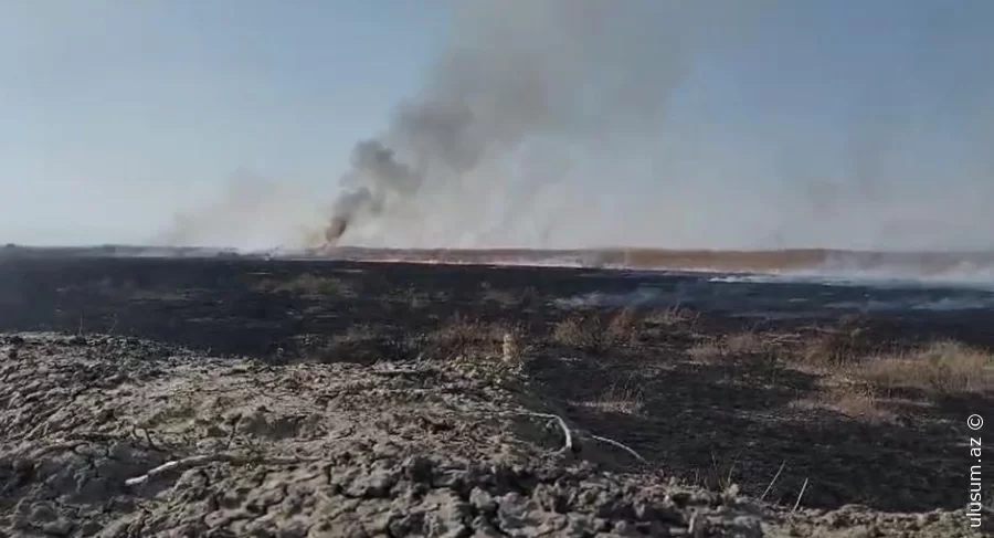 FHN: Ermənistan tərəfindən törədilən yanğın söndürülüb - VİDEO