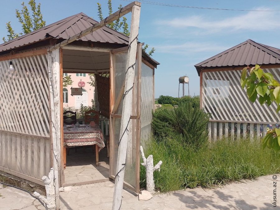 Masallı "Qartal" restoranında qida təhlükəsizliyi standartlarına zidd hallar aşkarlandı