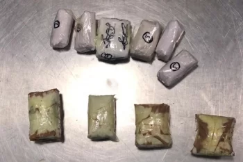 Sabunçuda əməliyyat: 29 kiloqram narkotik dövriyyədən çıxarılıb