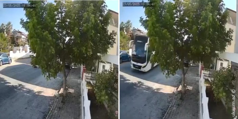 Kuşadasında ürək parçalayan olay: Sürücü küçə itini əzərək yoluna davam etdi - VİDEO