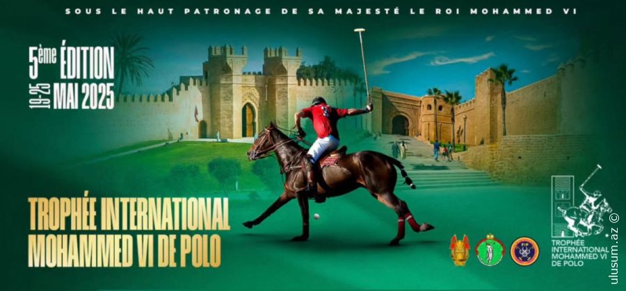Azərbaycan Polo Millisi Mərakeşdə kubok uğrunda yarışır - FOTO