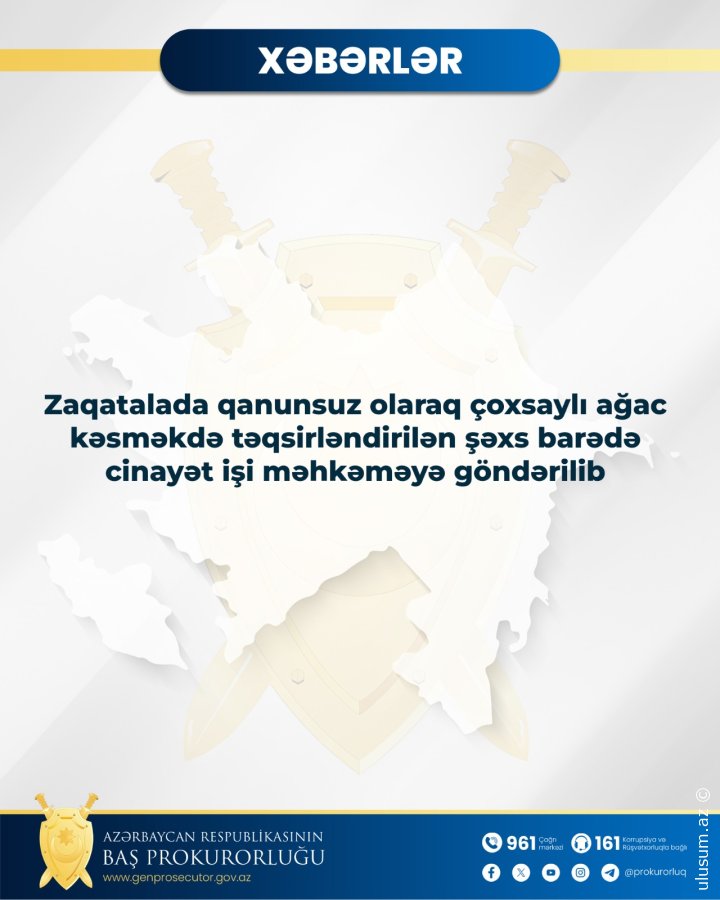 Yaşıllıq qətliamı: Zaqatalada yüksək vəzifəli şəxslərə cinayət işi açıldı