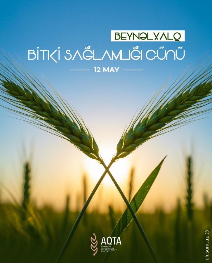 12 May - Beynəlxalq Bitki Sağlamlığı Günüdür