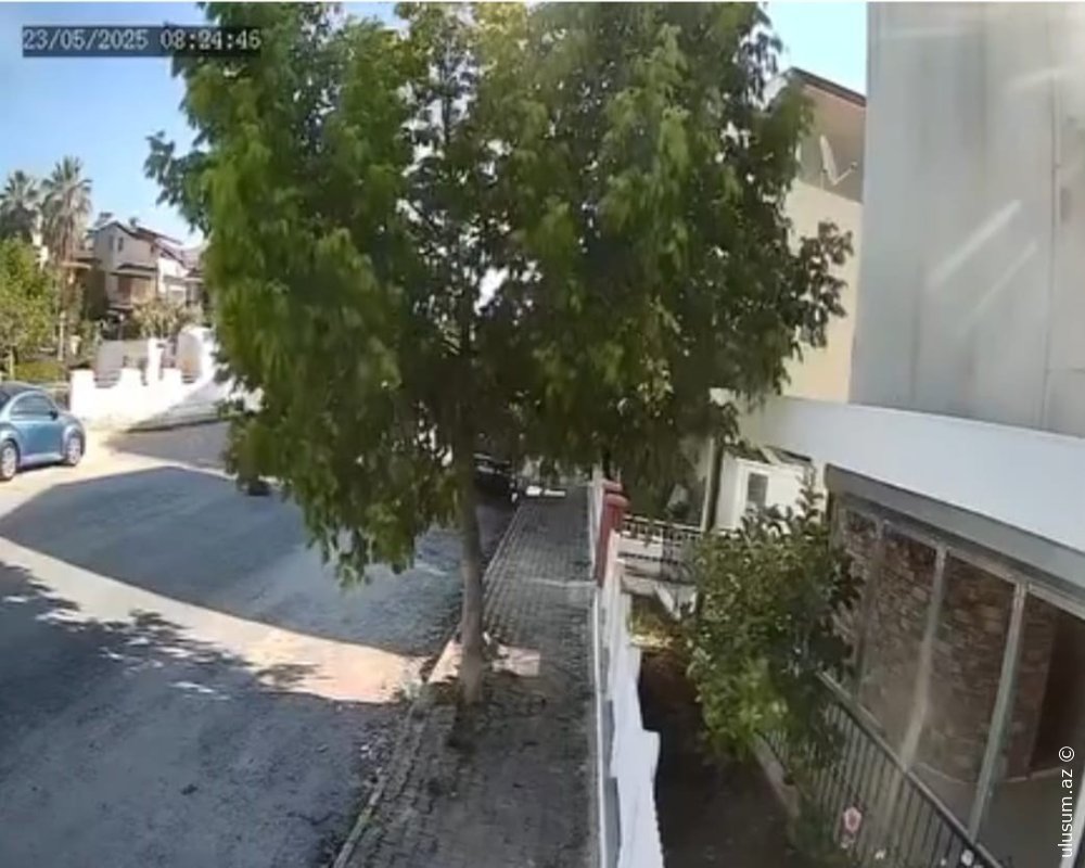 Kuşadasında ürək parçalayan olay: Sürücü küçə itini əzərək yoluna davam etdi - VİDEO