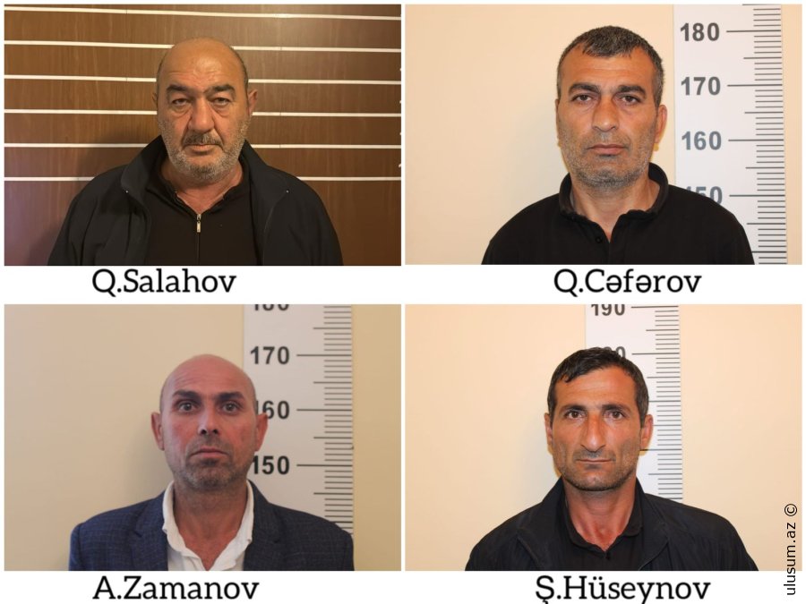 DİN Salyanda narkotik tərkibli bitkilər yetişdirən şəxslər saxlanılıb