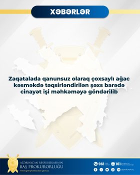 Yaşıllıq qətliamı: Zaqatalada yüksək vəzifəli şəxslərə cinayət işi açıldı