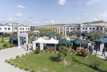 Zəngilanda Aqrar Biznes Festivalı keçirilib