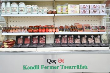 “Qoç Ət” MMC-nin Xocalıda heyvandarlıq kompleksinin açılışı olub