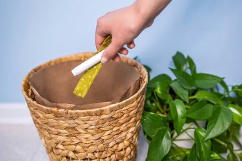 Qadınlar diqqətli olun: Tamponlarda təhlükəli pestisid tapıldı