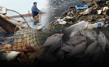 Çirkli Göldə Balıq Tutanlar: Sədərək və Binə Arasında Həyat və Təhlükə