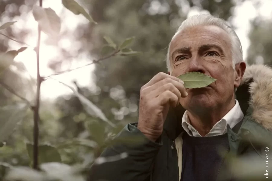 Qoxu itkisi Alzheimer və Parkinsonun xəbərçisi ola bilər