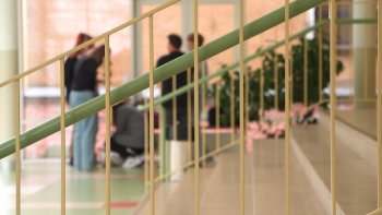 Məktəbdə cinayətlərin səbəbi: Günahkar kimdir?