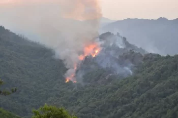 FHN: Laçında dağlıq ərazidə yanğın başlayıb