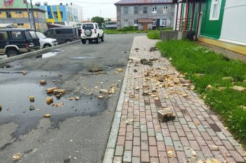 Zəlzələ ekoloji fəlakətə çevrilmədi: alimlər sakitləşdirir