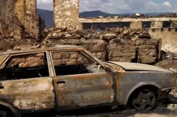 Türkiyədə iki günə 150 meşə yanğını — 17 nəfər saxlanılıb