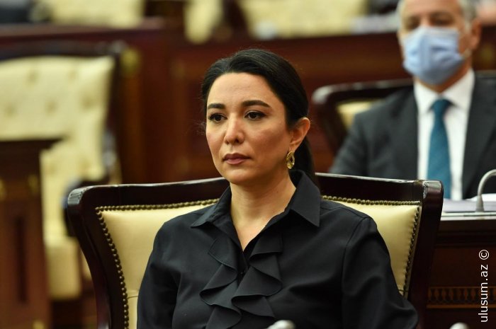Ombudsman beynəlxalq təşkilatlara itkin düşmüş şəxslərlə bağlı çağırış edib