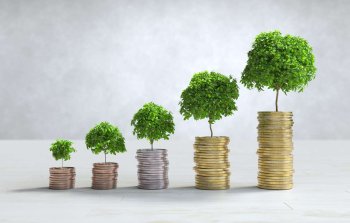 Az risk, çox gəlir: qadınların investisiya sirri