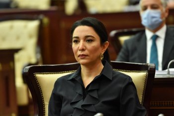 Ombudsman beynəlxalq təşkilatlara itkin düşmüş şəxslərlə bağlı çağırış edib