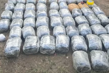 Azərbaycan sərhədində 62 kq narkotik ələ keçirildi