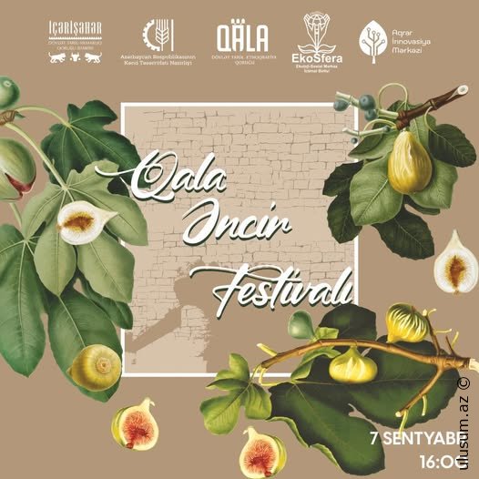 Bakıda “Qala Əncir Festivalı” keçiriləcək