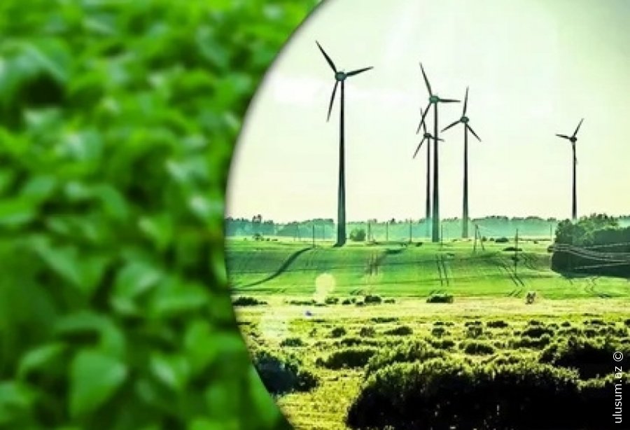 Moody’s: Xarici investorlar Azərbaycanda “yaşıl enerji”yə marağı artırır