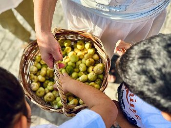 Qalada əncir festivalı keçirilib - FOTO