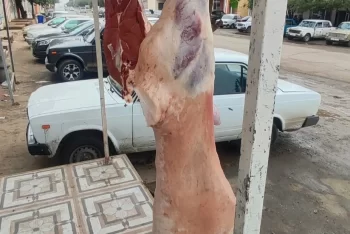 Cəlilabad rayonunda ət satışı məntəqəsində normativ tələblər pozulub