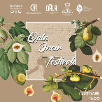 Bakıda “Qala Əncir Festivalı” keçiriləcək