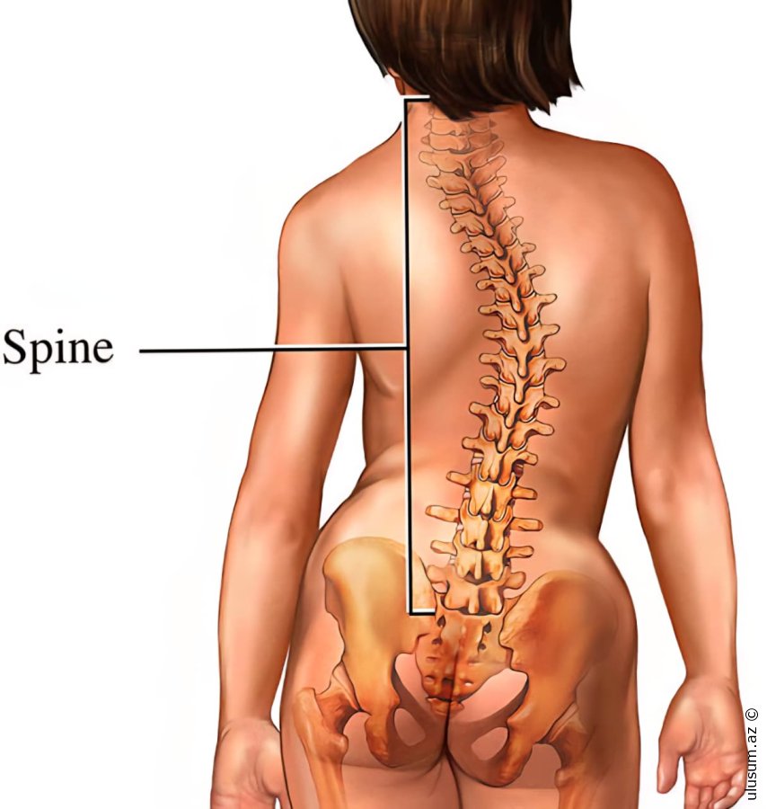 Oturaq həyat tərzi ölümcül nəticələrə səbəb ola bilər – gündə cəmi 10 dəqiqə kifayətdir