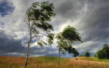 FHN gözlənilən hava ilə əlaqədar müraciət etdi