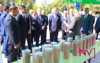Şərurda Aqrar Biznes Festivalı və Toxum Yarmarkası keçirilib