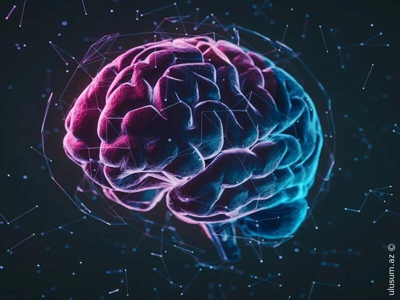Alimlər beynin güclənməsinin sadə və pulsuz yolunu açıqladılar.
