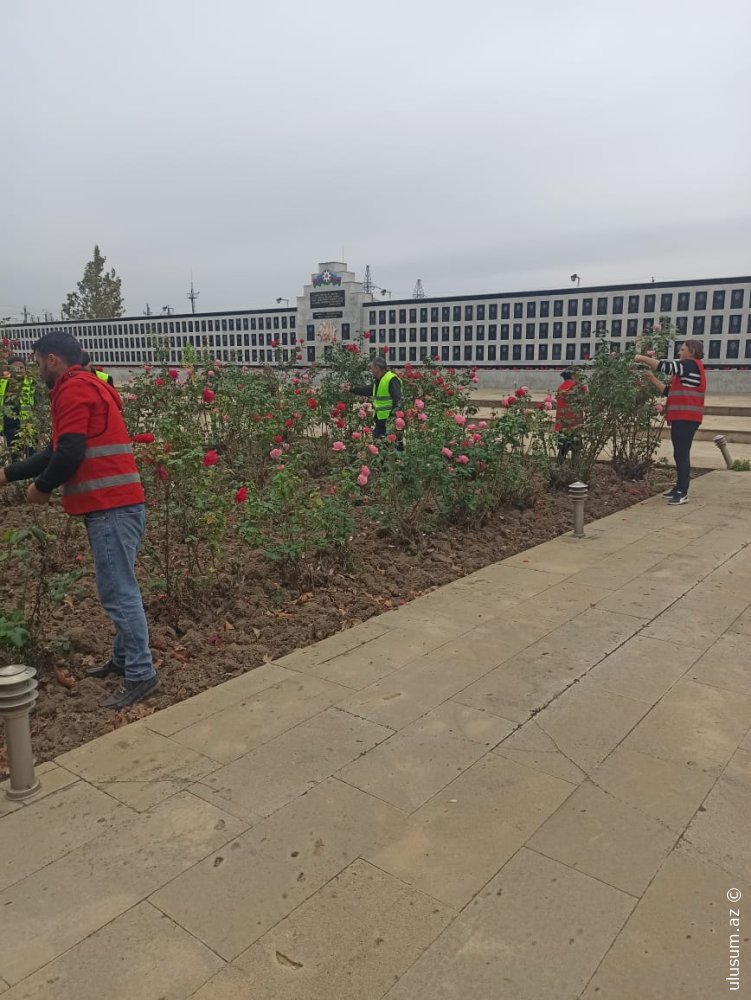 Cəbrayıl rayonunda 8 noyabr - Zəfər gününün beşinci ildönümü ilə əlaqədar iməcilik keçirilib