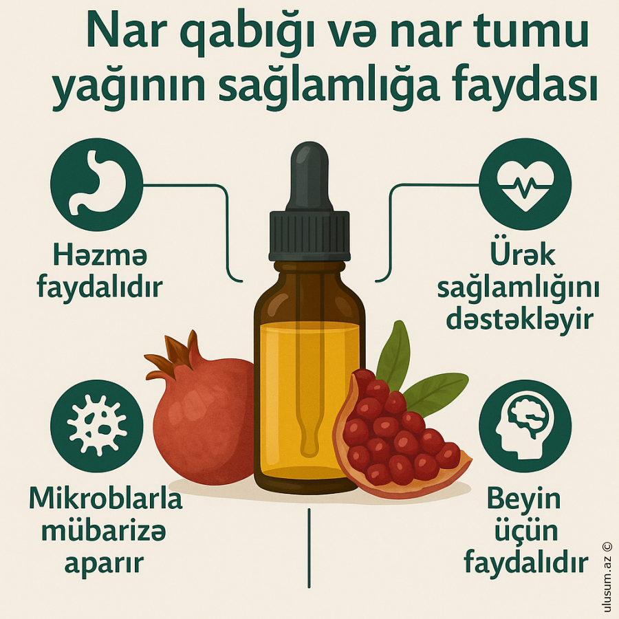 Nar qabığı və tum yağının sağlamlığa faydası