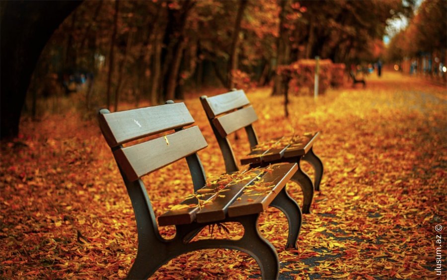 Sabah hava necə olacaq? - PROQNOZ