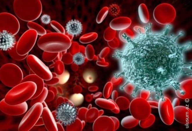 Qan xərçənginə iki fərqli yanaşma: Hansı daha effektivdir?