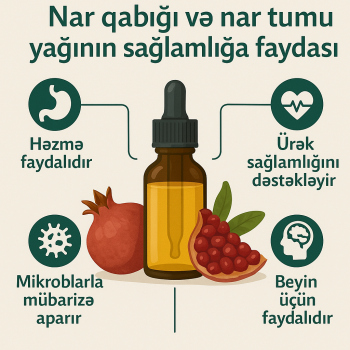 Nar qabığı və tum yağının sağlamlığa faydası