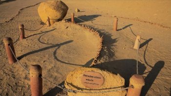 Balina Vadisi – Dəniz Canlılarının Qədim Tarixi