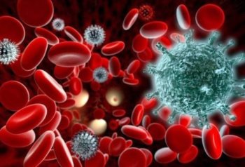 Qan xərçənginə iki fərqli yanaşma: Hansı daha effektivdir?