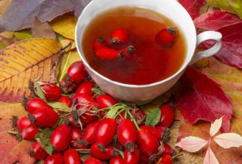 İtburnu Çayının Ən Effektiv Dəmləmə Qaydası